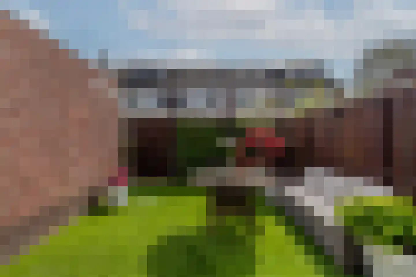 Oldegaarde 982 Rotterdam thumbnail 37