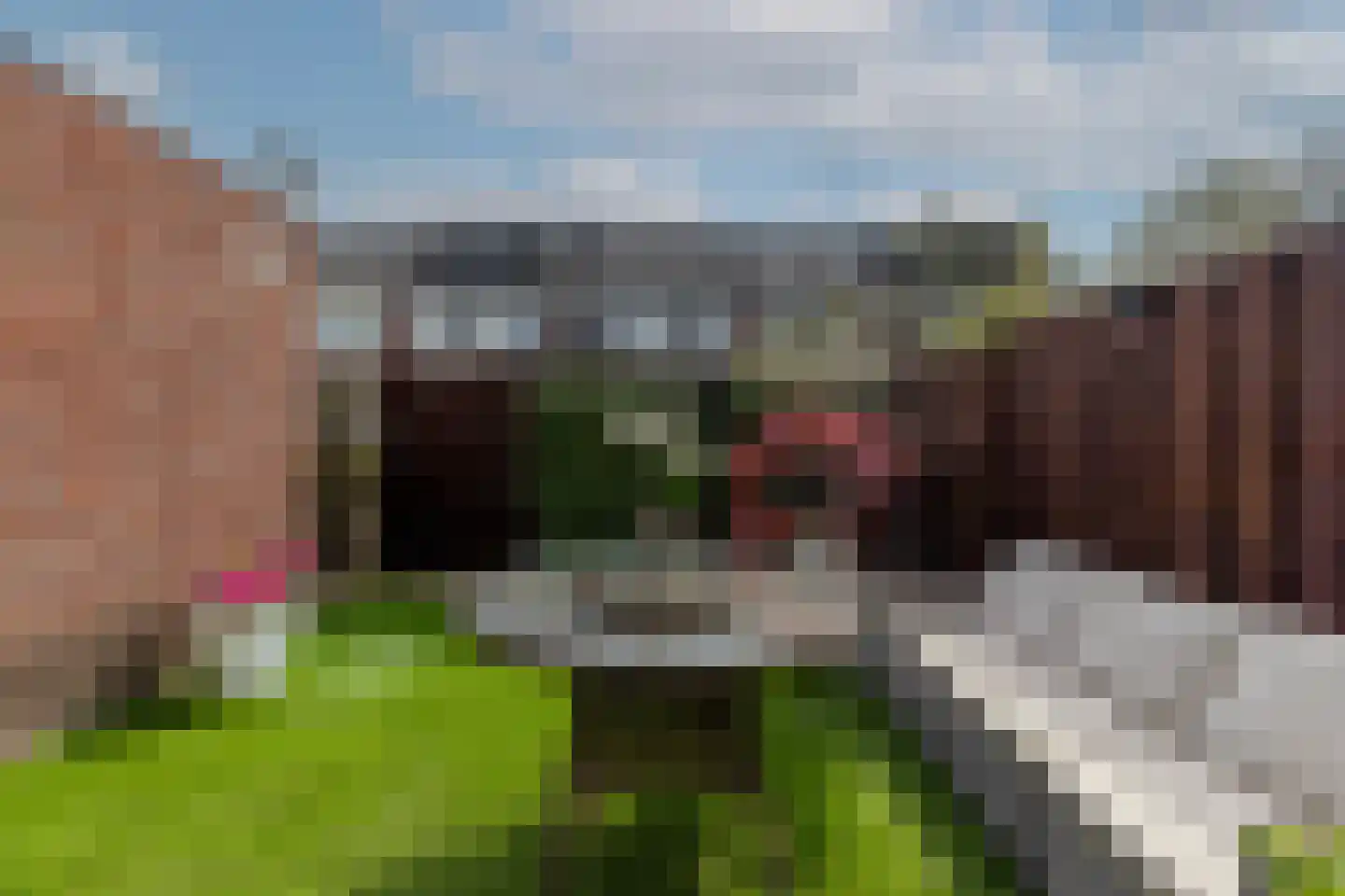 Oldegaarde 982 Rotterdam thumbnail 38