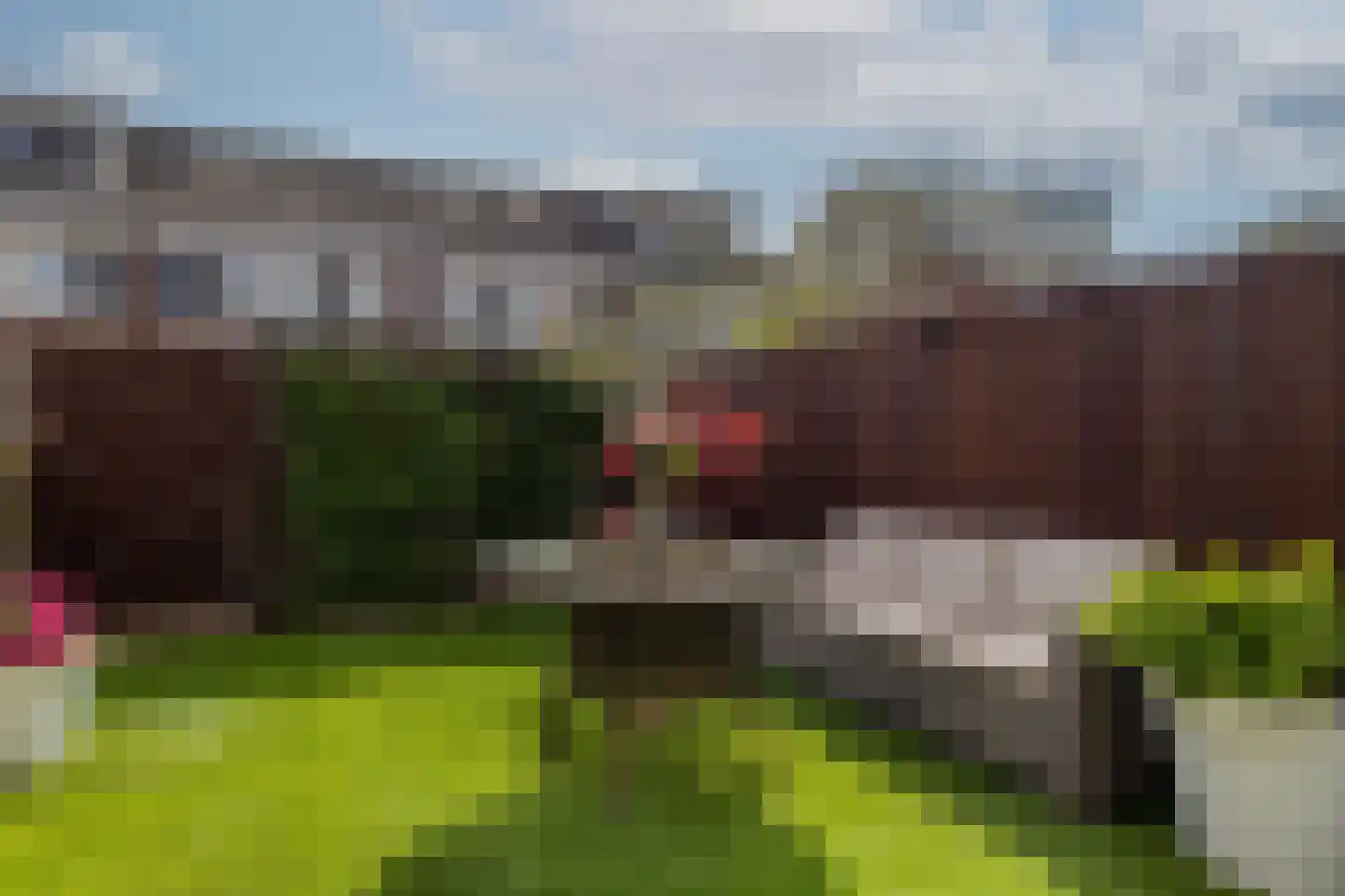 Oldegaarde 982 Rotterdam thumbnail 39