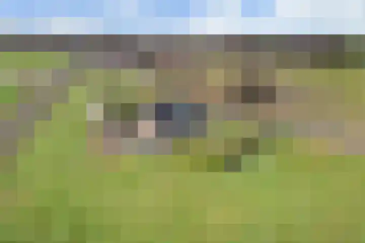 Oldegoorweg 18 Didam thumbnail 26