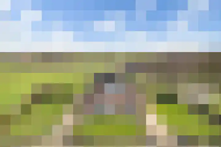 Oldegoorweg 18 Didam thumbnail 28