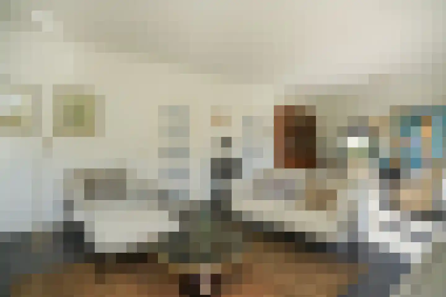 Oldegoorweg 24 Didam thumbnail 11