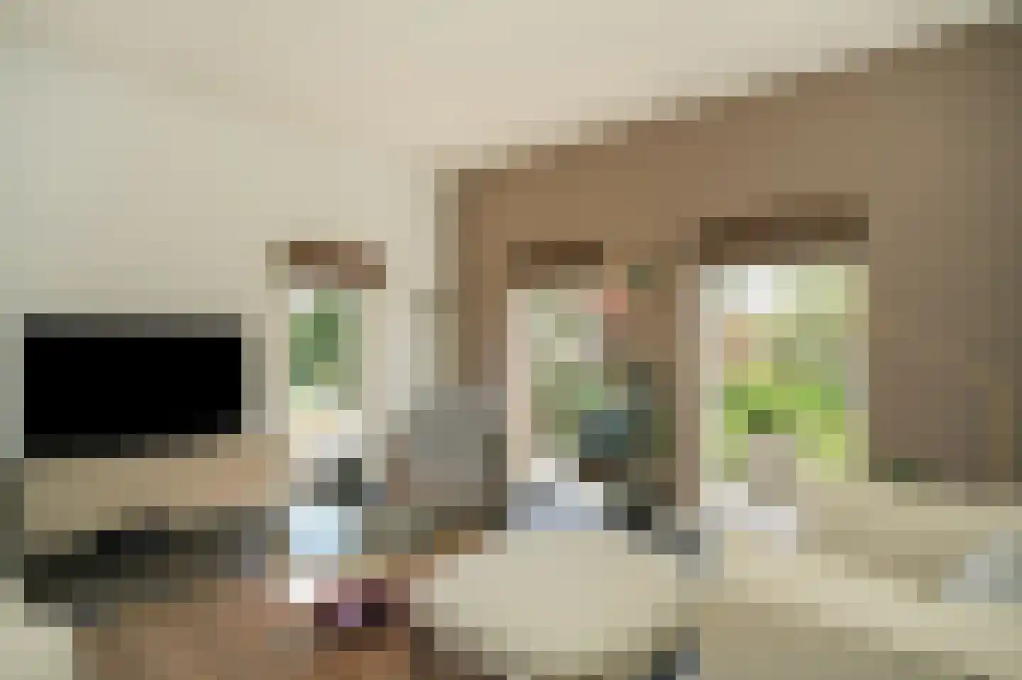 Oldegoorweg 24 Didam thumbnail 13