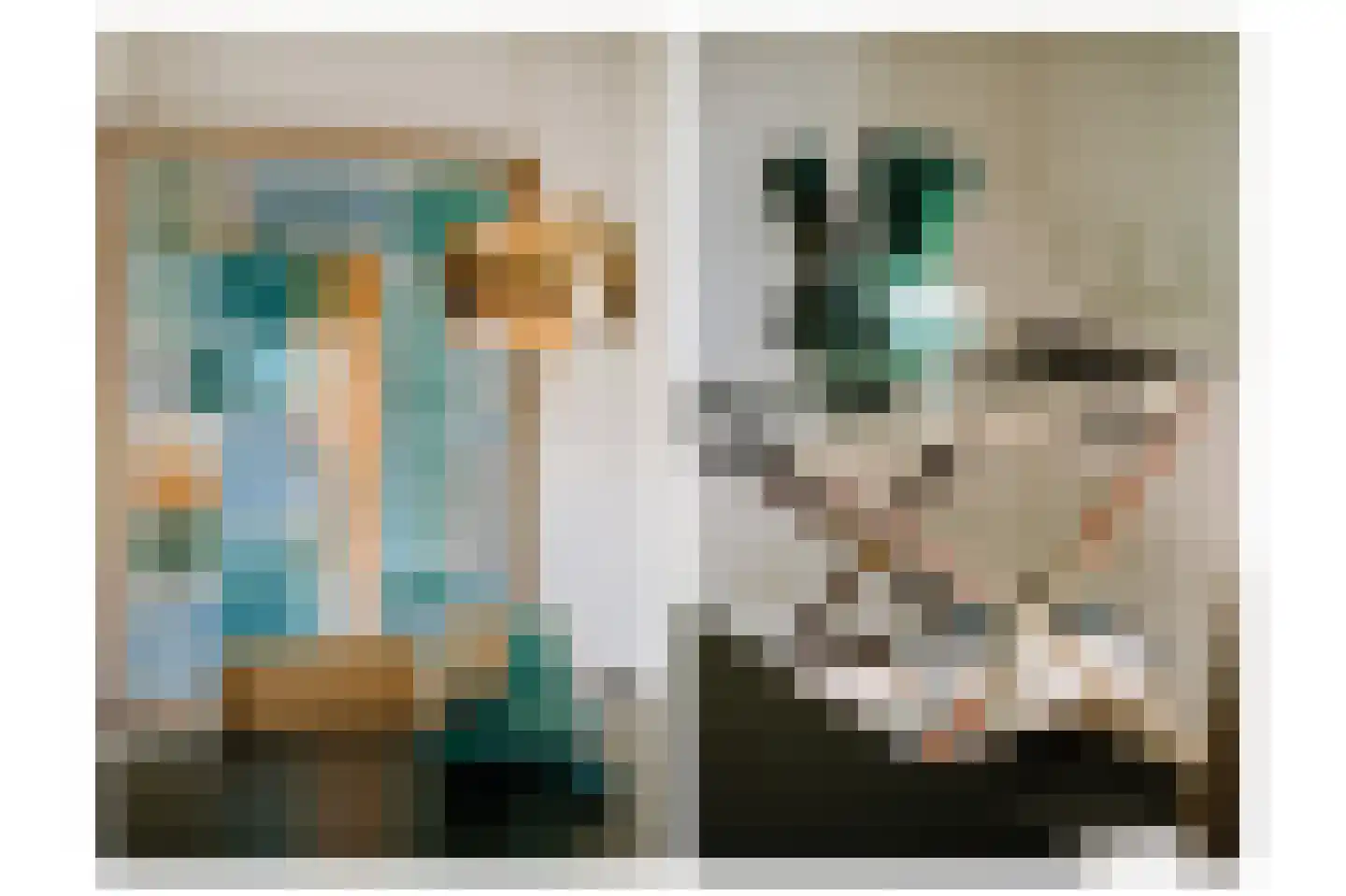Oldegoorweg 24 Didam thumbnail 15