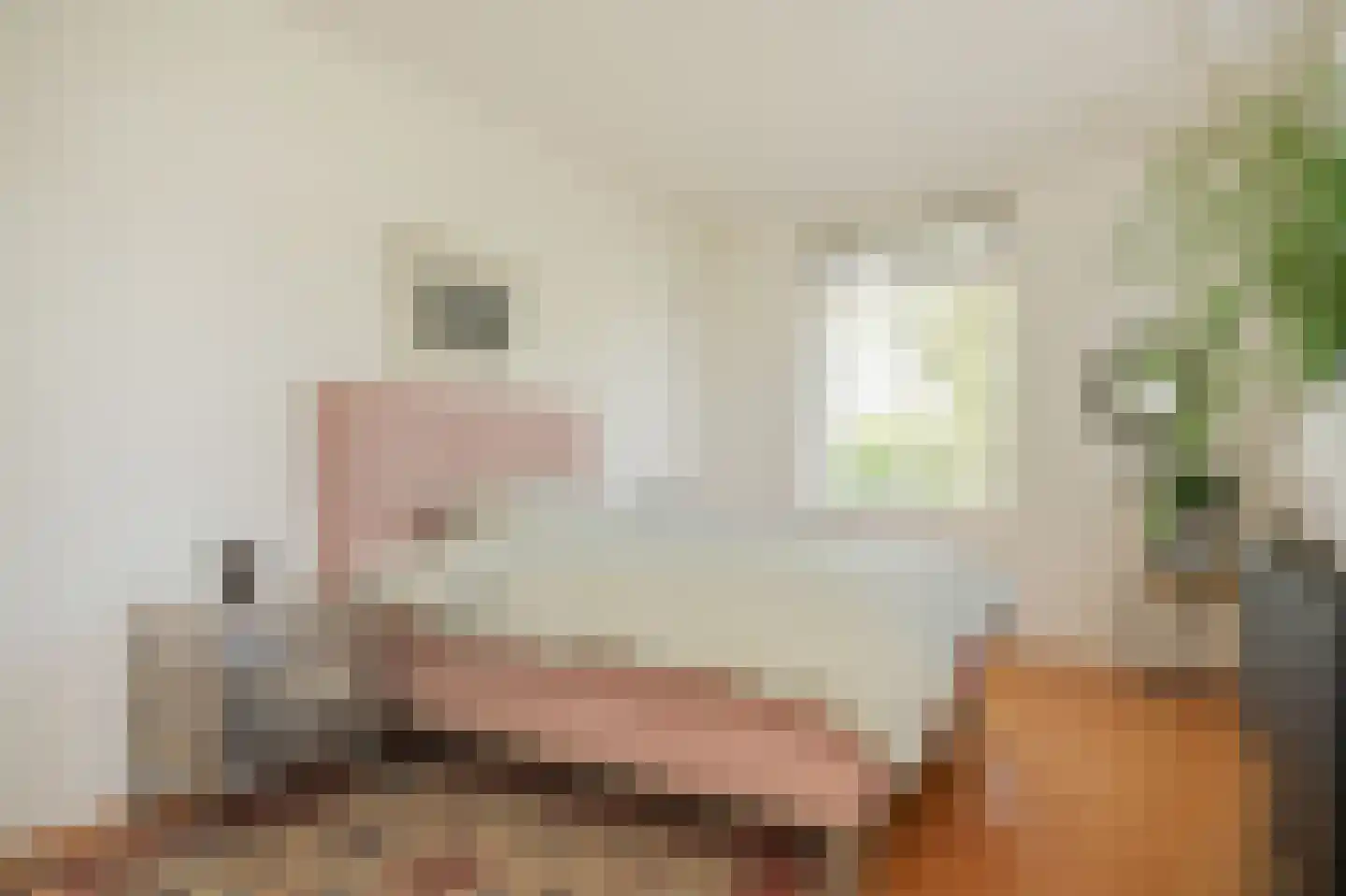 Oldegoorweg 24 Didam thumbnail 20