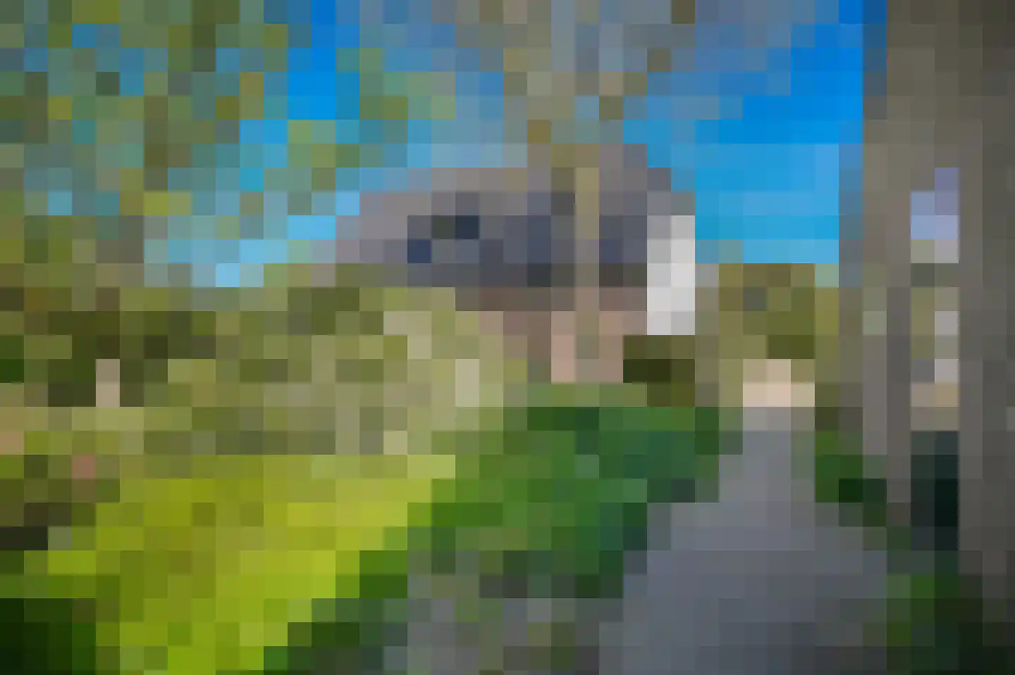 Oldegoorweg 24 Didam thumbnail 45