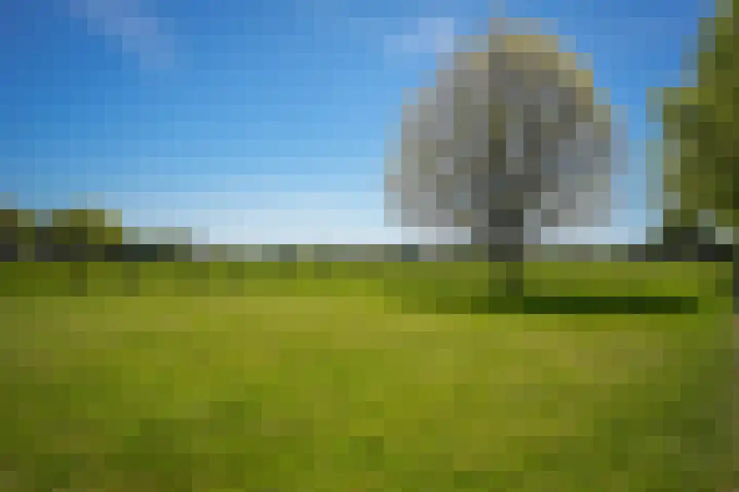 Oldegoorweg 24 Didam thumbnail 59