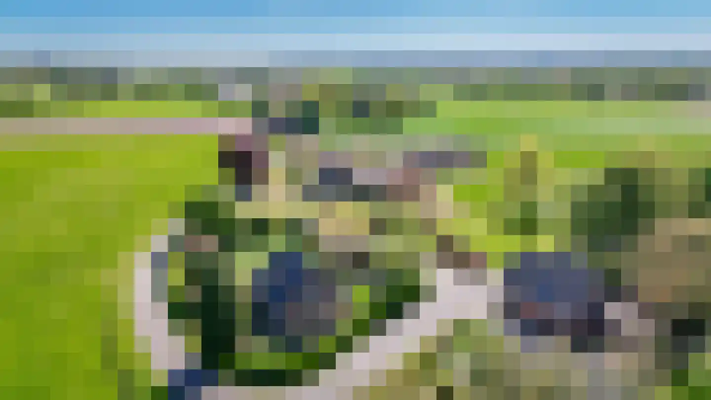 Oldegoorweg 24 Didam thumbnail 63