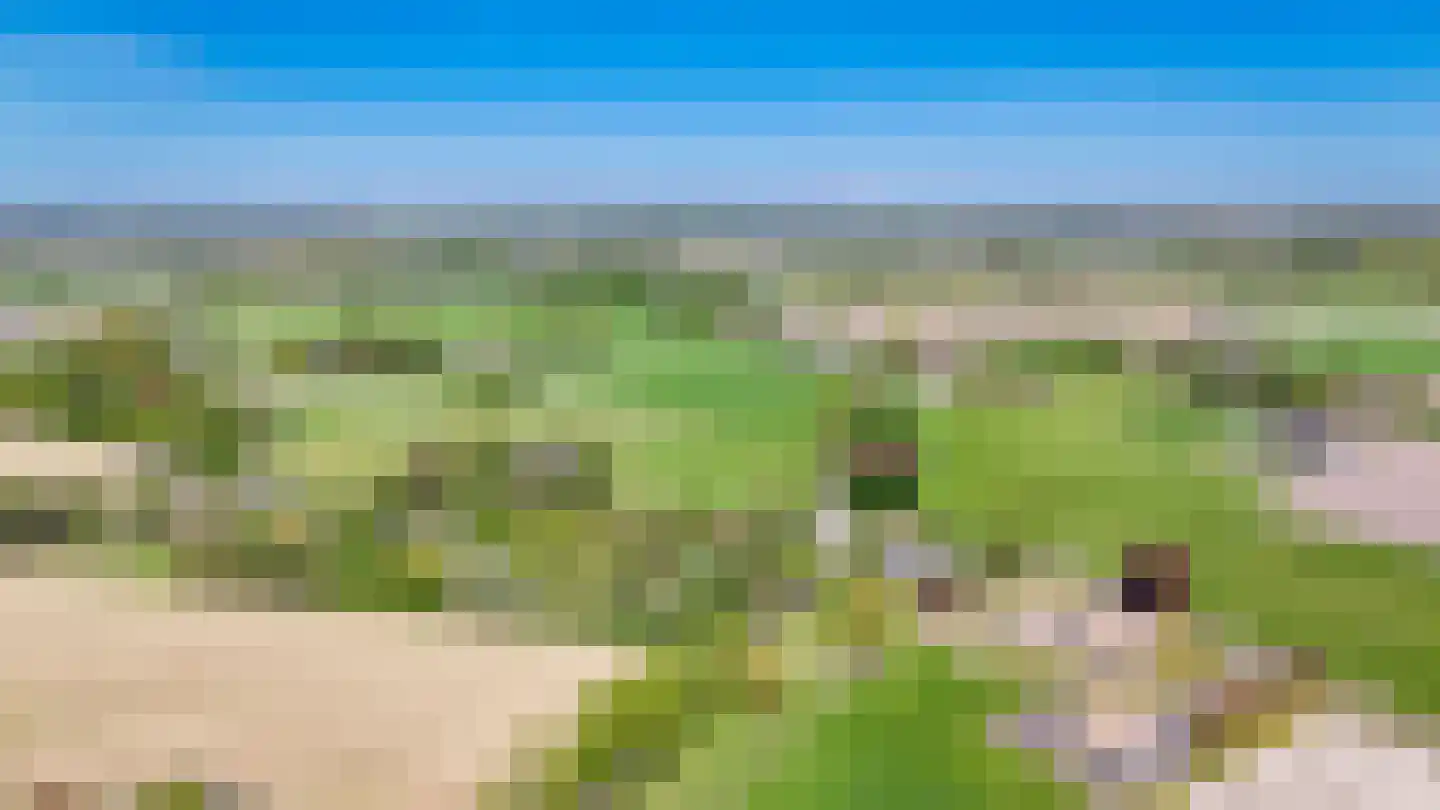 Oldegoorweg 24 Didam thumbnail 66