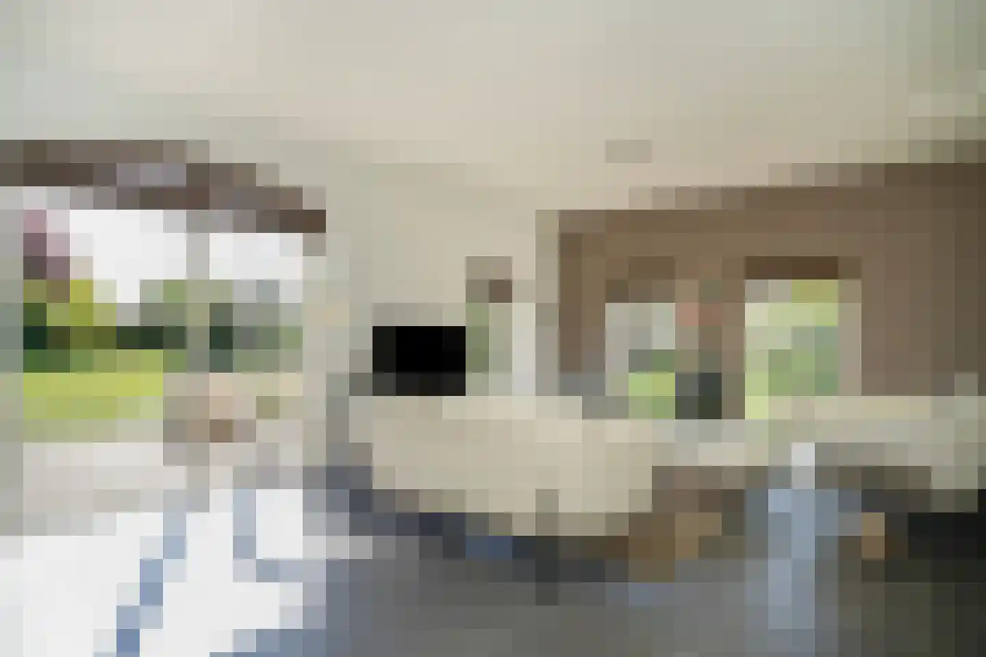 Oldegoorweg 24 Didam thumbnail 8