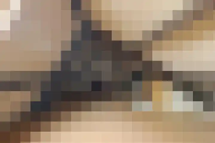 Oldekamp 20 Westerbork thumbnail 45