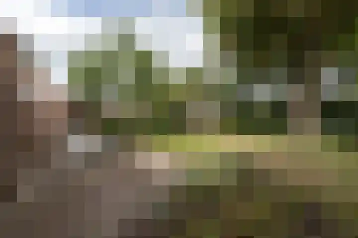 Oldekamp 29 Westerbork thumbnail 35