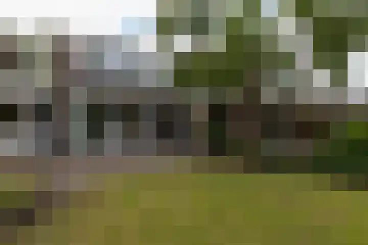 Oldekamp 29 Westerbork thumbnail 36