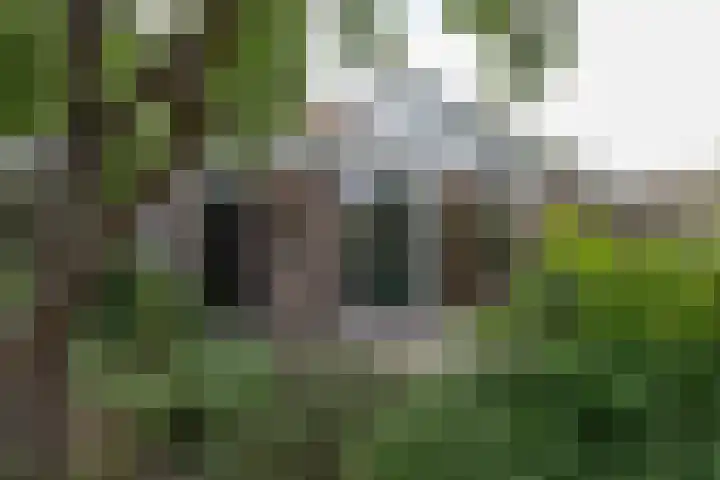 Oldekamp 29 Westerbork thumbnail 38
