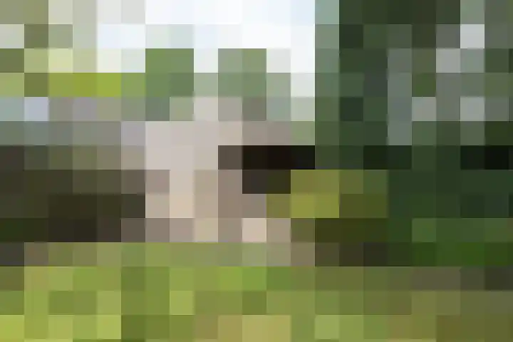 Oldekamp 29 Westerbork thumbnail 39