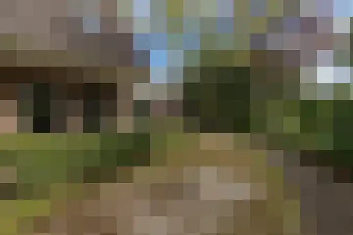 Oldekamp 29 Westerbork thumbnail 4