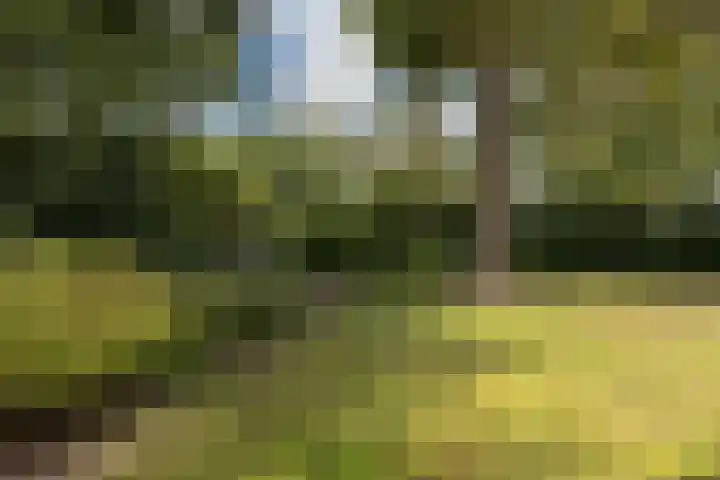 Oldekamp 29 Westerbork thumbnail 40