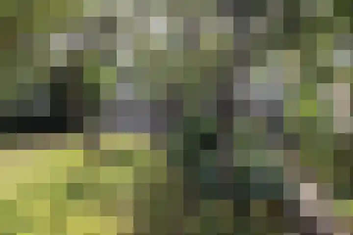 Oldekamp 29 Westerbork thumbnail 41