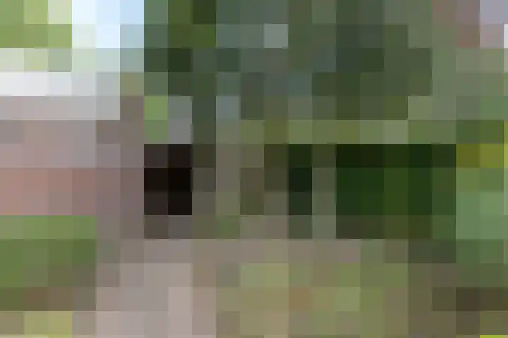 Oldekamp 29 Westerbork thumbnail 42