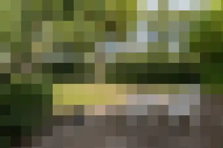 Oldekamp 29 Westerbork thumbnail 43