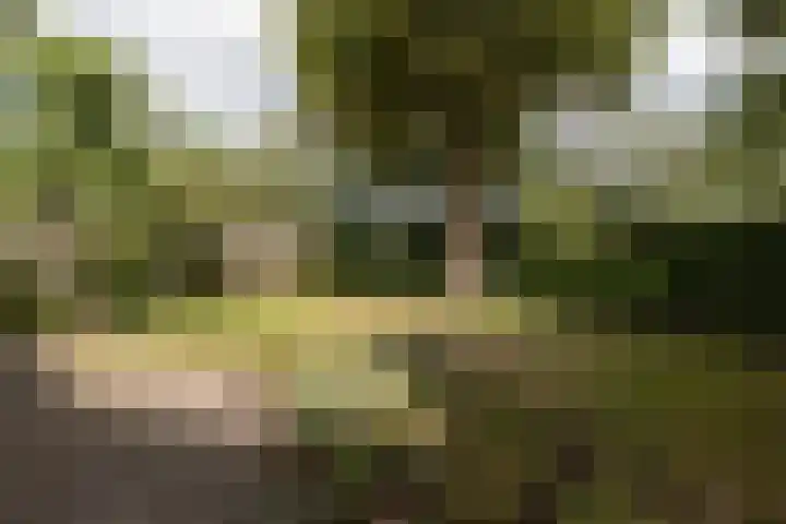 Oldekamp 29 Westerbork thumbnail 44