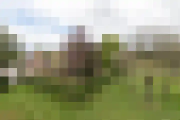 Oldekamp 29 Westerbork thumbnail 45