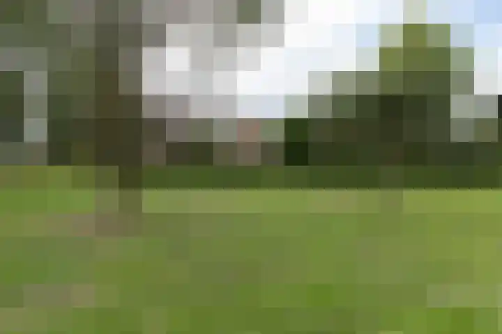 Oldekamp 29 Westerbork thumbnail 48