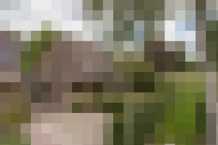 Oldekamp 29 Westerbork thumbnail 49