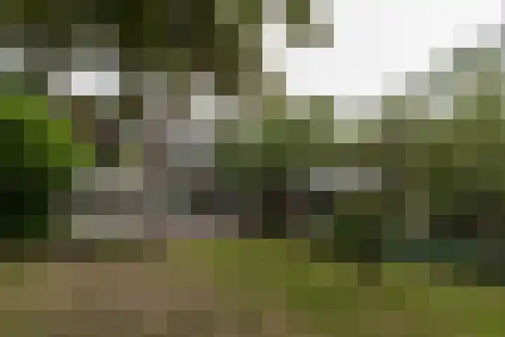 Oldekamp 29 Westerbork thumbnail 51