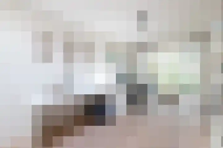 Oldekamp 29 Westerbork thumbnail 9
