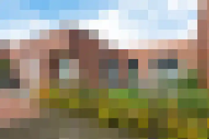Oldekerkermeer 7 Oldekerk thumbnail 33