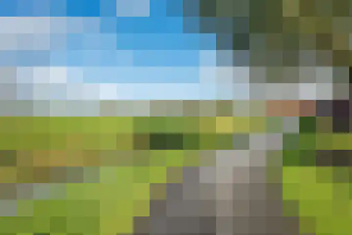 Oldekerkermeer 7 Oldekerk thumbnail 43