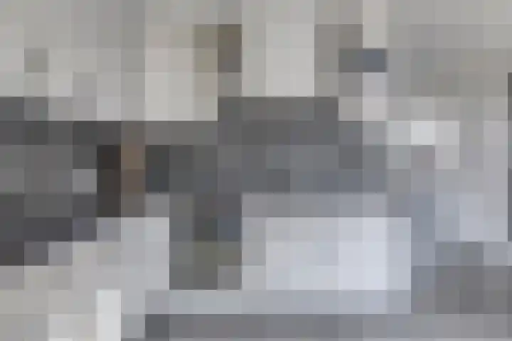 Oldekerkermeer 8 Oldekerk thumbnail 19