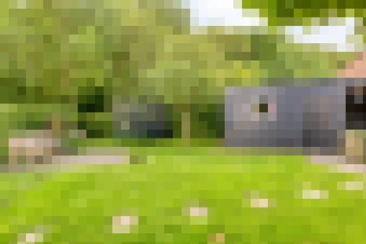 Oldemaad 11 Oosterwolde thumbnail 36