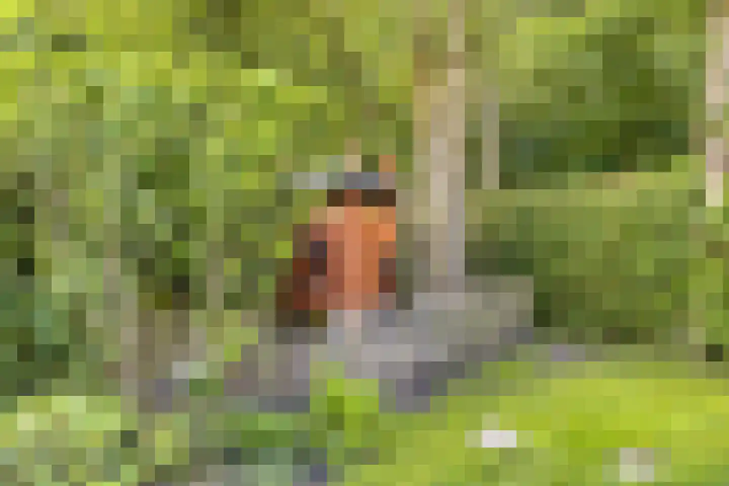 Oldemaad 11 Oosterwolde thumbnail 38