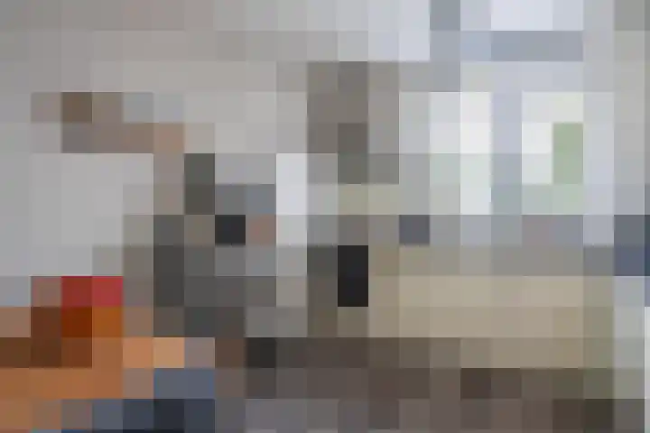 Oldemaad 15 Oosterwolde thumbnail 12