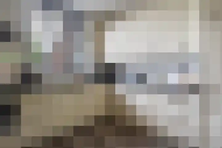 Oldemaad 15 Oosterwolde thumbnail 13