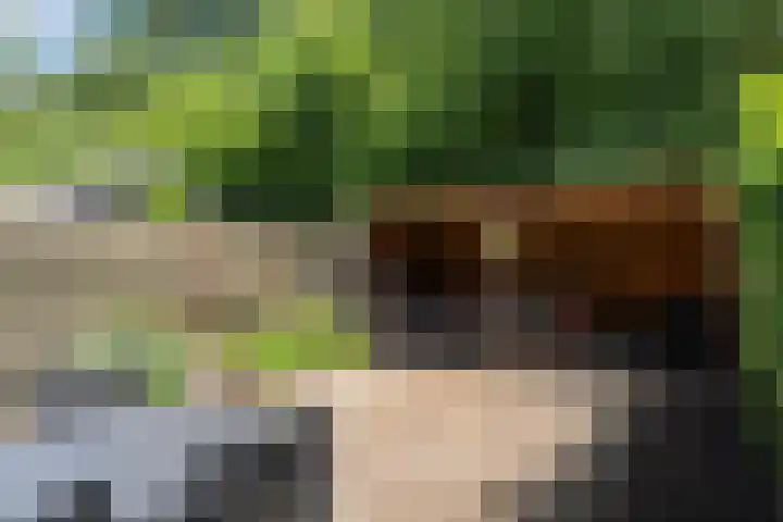 Oldemaad 15 Oosterwolde thumbnail 23