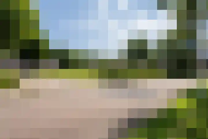 Oldemaad 15 Oosterwolde thumbnail 28
