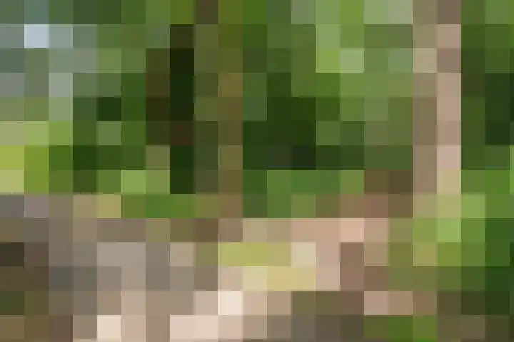 Oldemaad 15 Oosterwolde thumbnail 31
