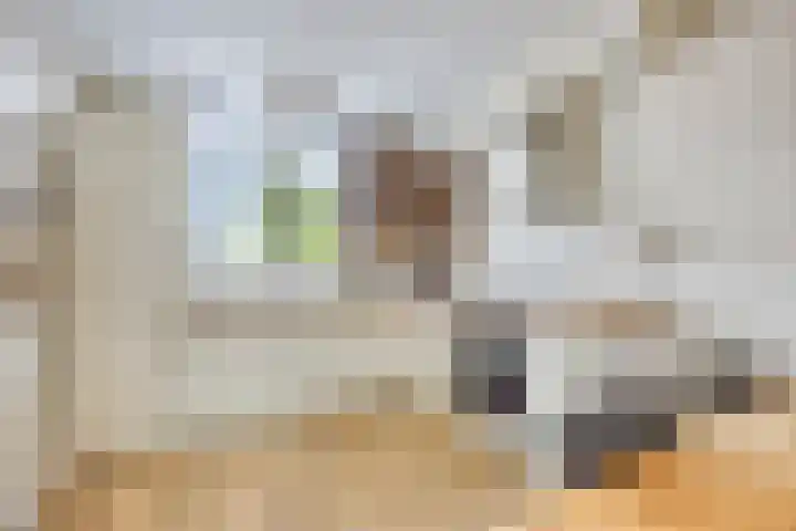 Oldemaad 17 Oosterwolde thumbnail 16