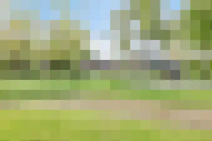 Oldemaad 17 Oosterwolde thumbnail 38