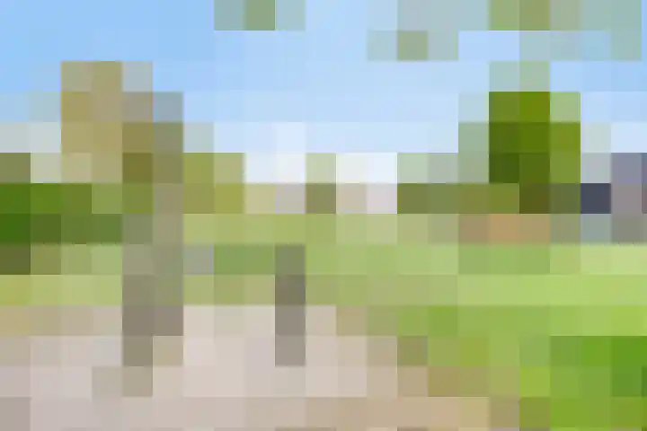 Oldemaad 17 Oosterwolde thumbnail 39