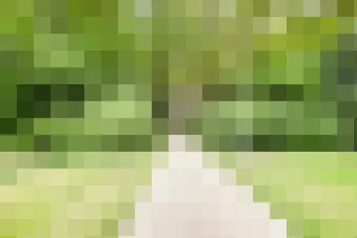Oldemaad 17 Oosterwolde thumbnail 40
