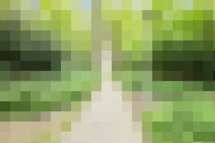 Oldemaad 17 Oosterwolde thumbnail 41