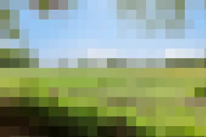Oldemaad 17 Oosterwolde thumbnail 42