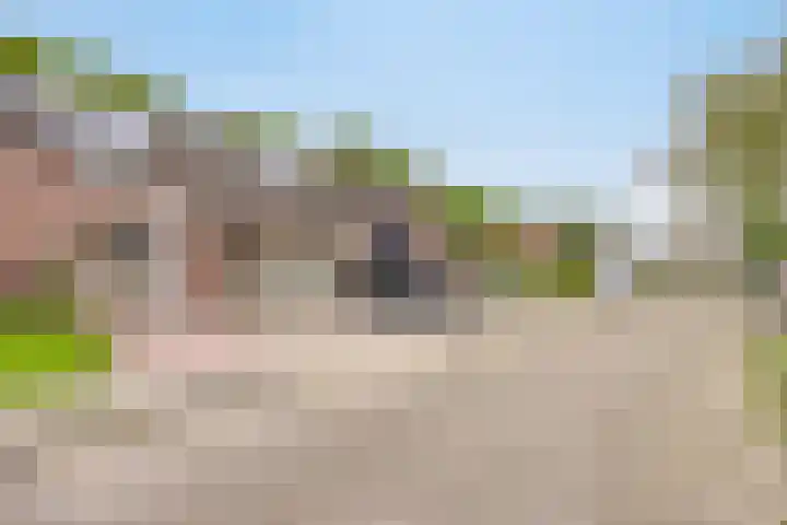 Oldemaad 17 Oosterwolde thumbnail 47