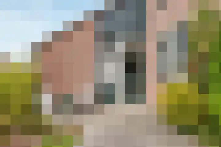 Oldemaad 43 Oosterwolde thumbnail 10