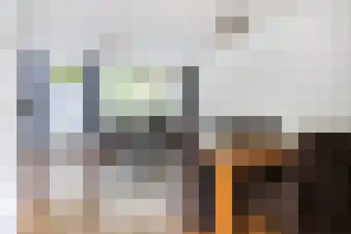 Oldemaad 43 Oosterwolde thumbnail 17