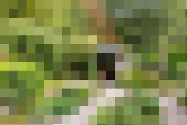 Oldemaad 43 Oosterwolde thumbnail 30